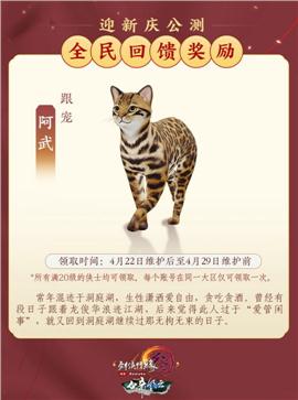 天龙八部私服星魂